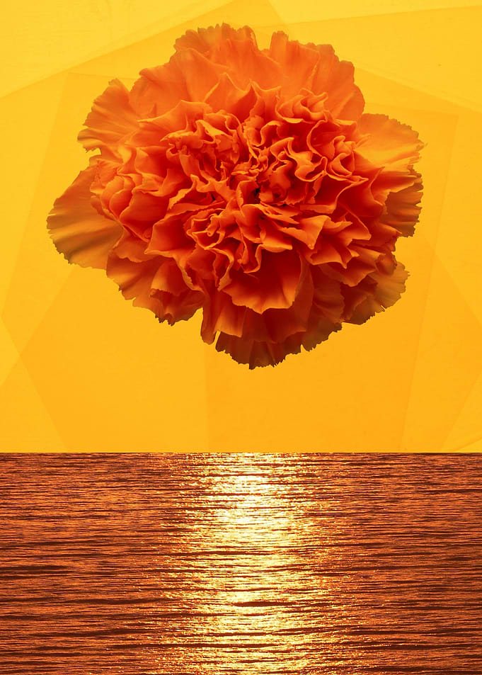 Yellow sunset