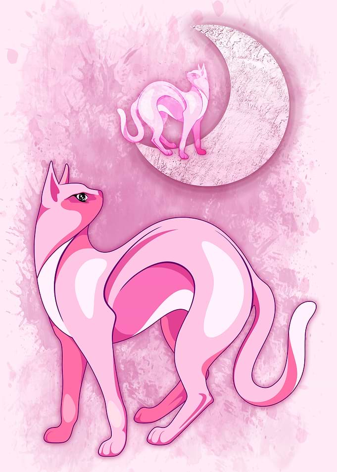 Pink Cat Mood