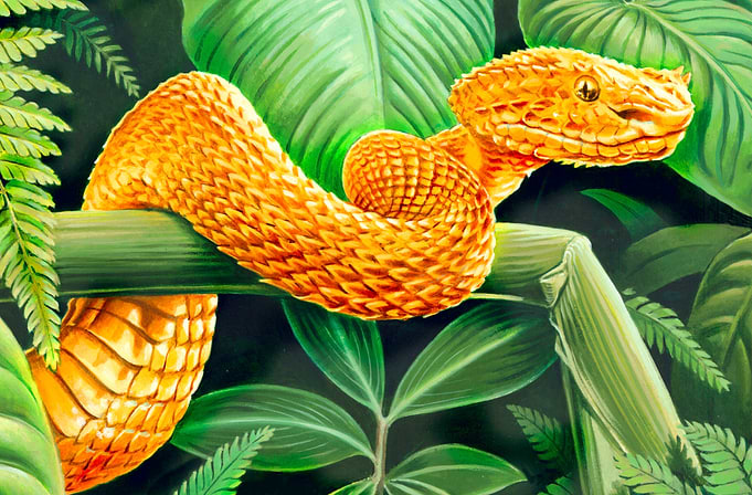 Acrylic painting of a deadly eyelash viper.