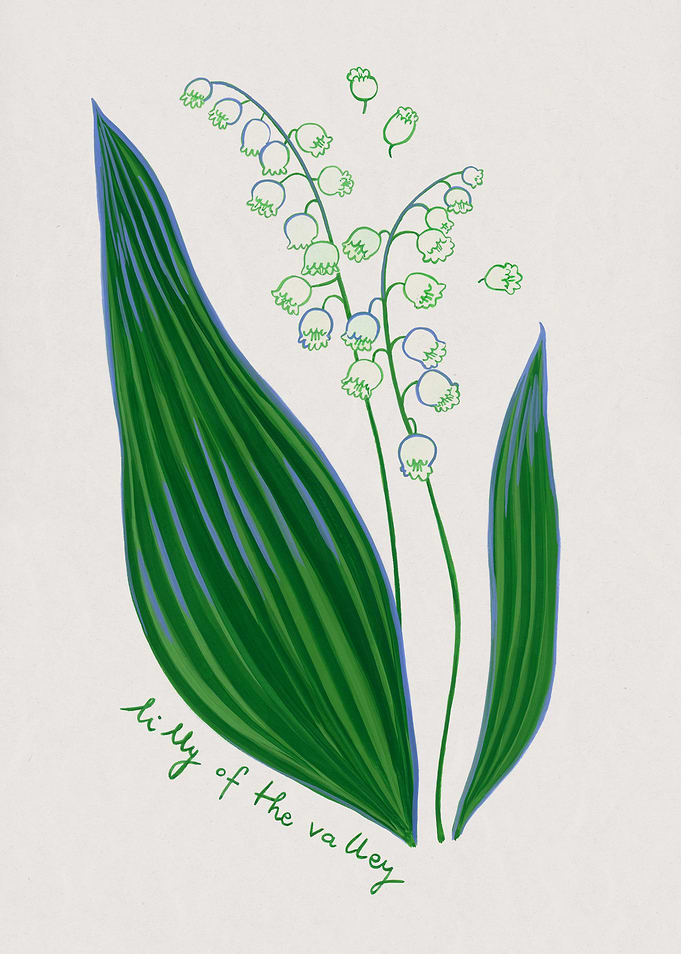 Lilly of the Valley