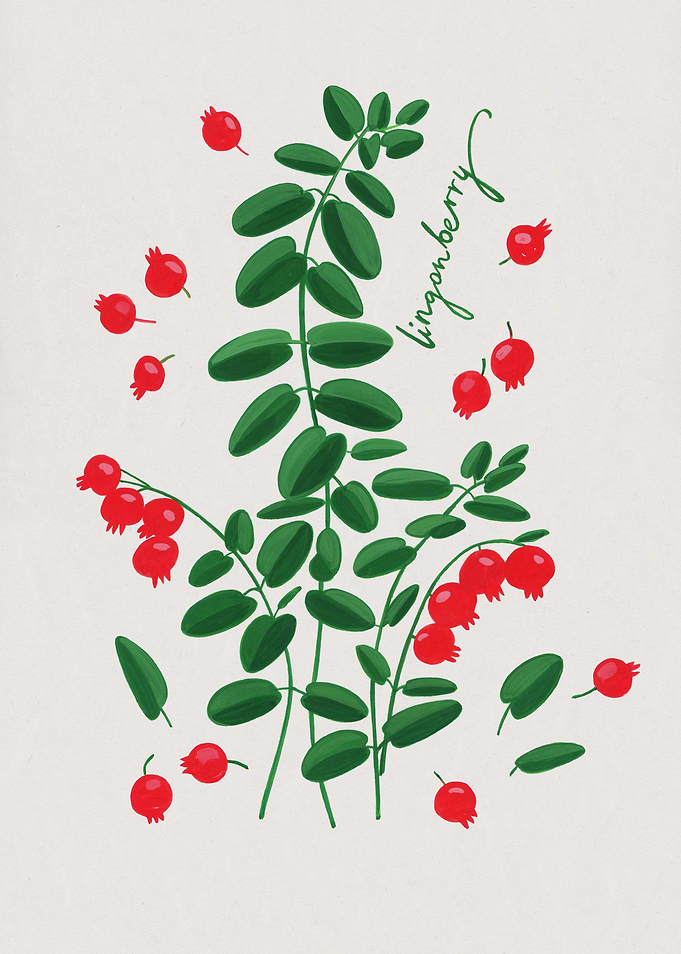 Lingonberry