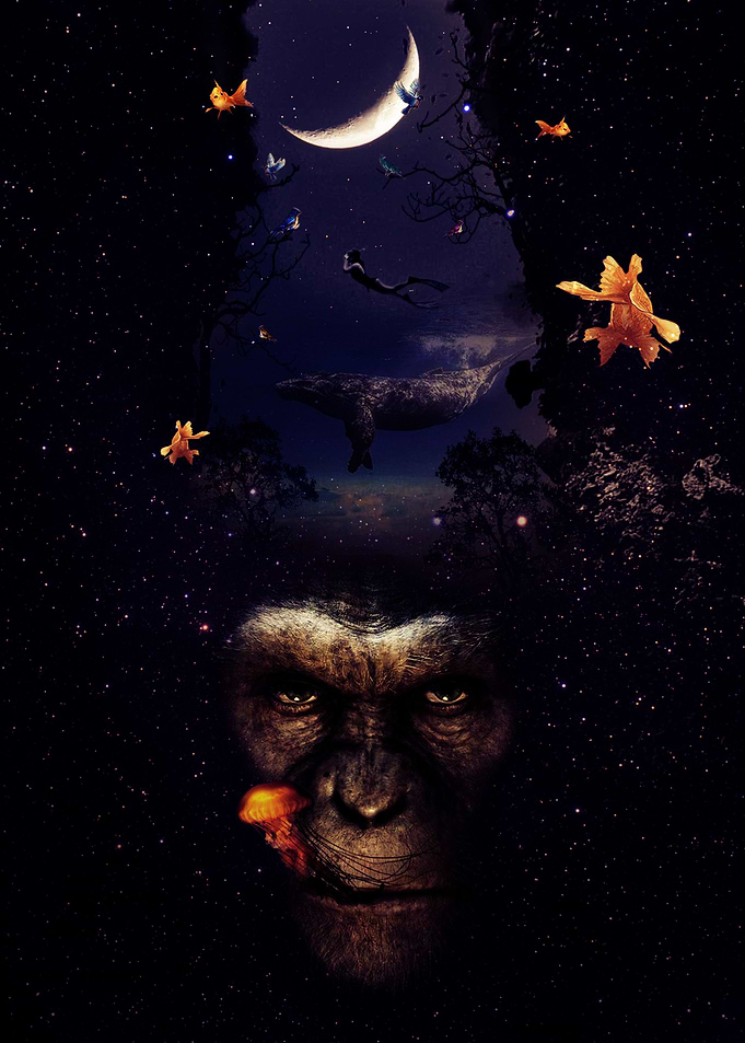 Deep Minded Primate
