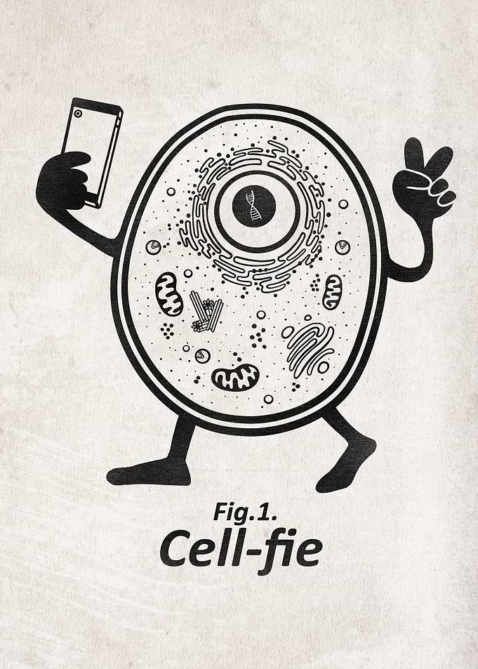 A cell during a selfie