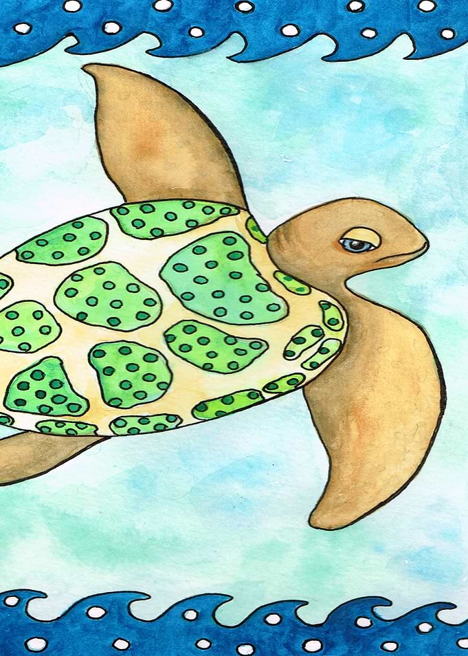 Timmy the Turtle