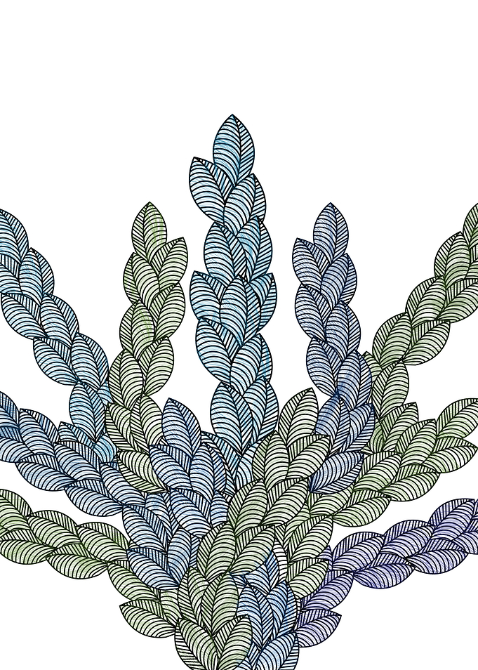 leaves