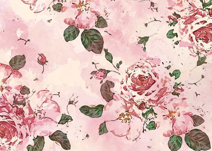roses blossom
