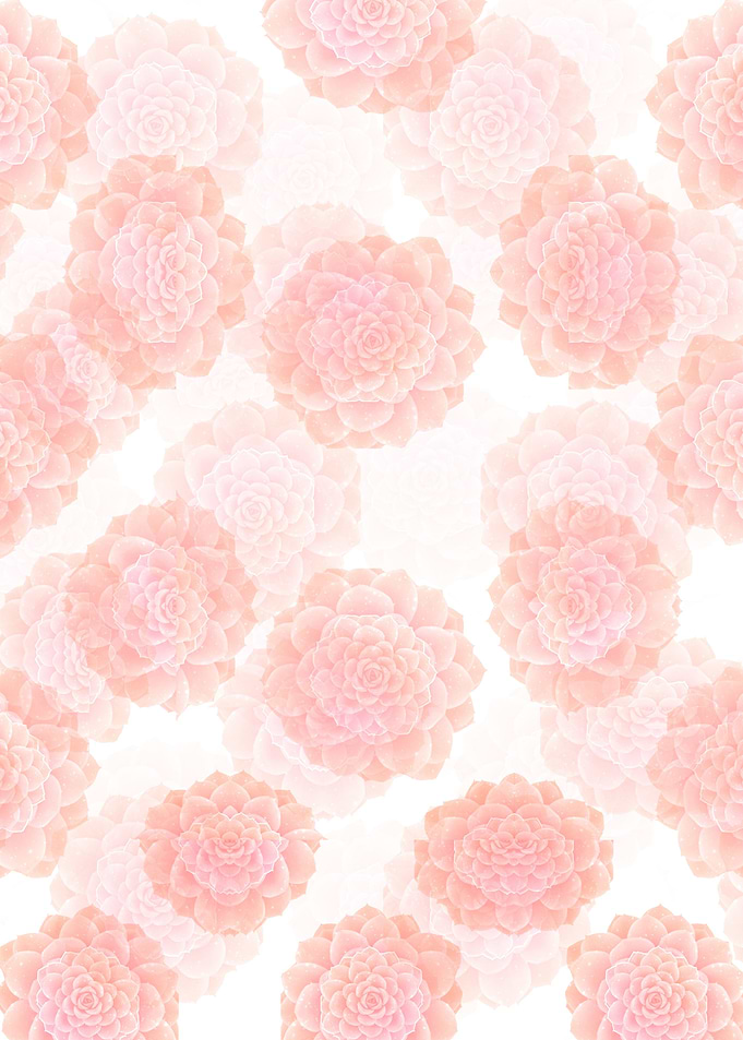 pink succulents