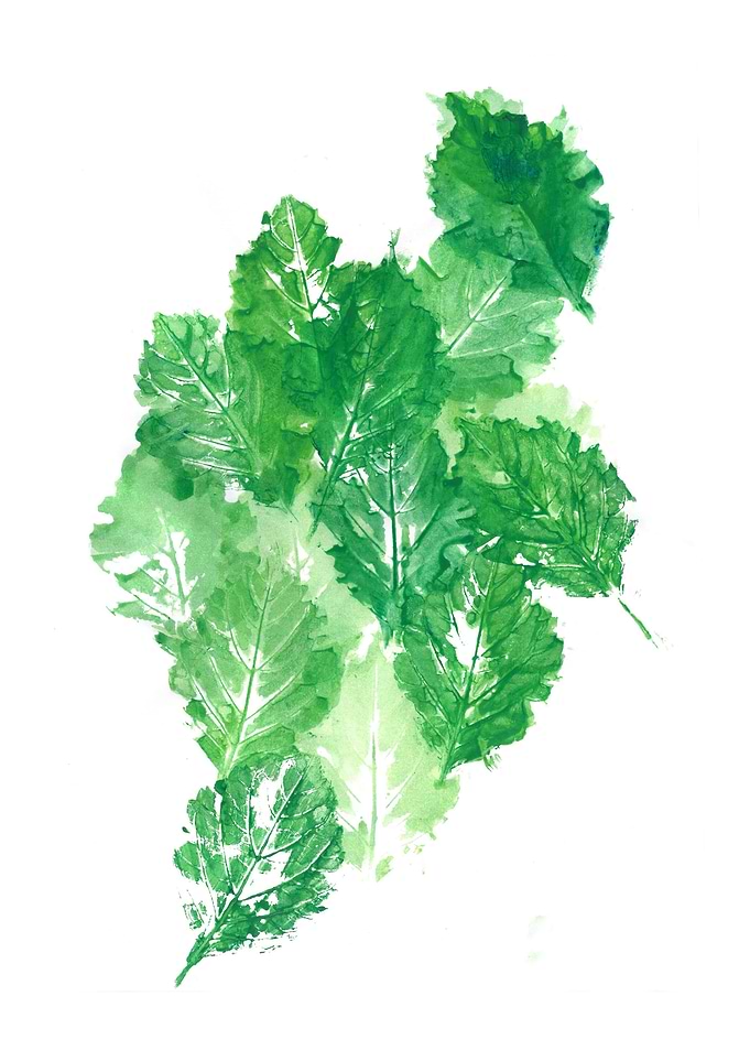 Leaves Dynamics