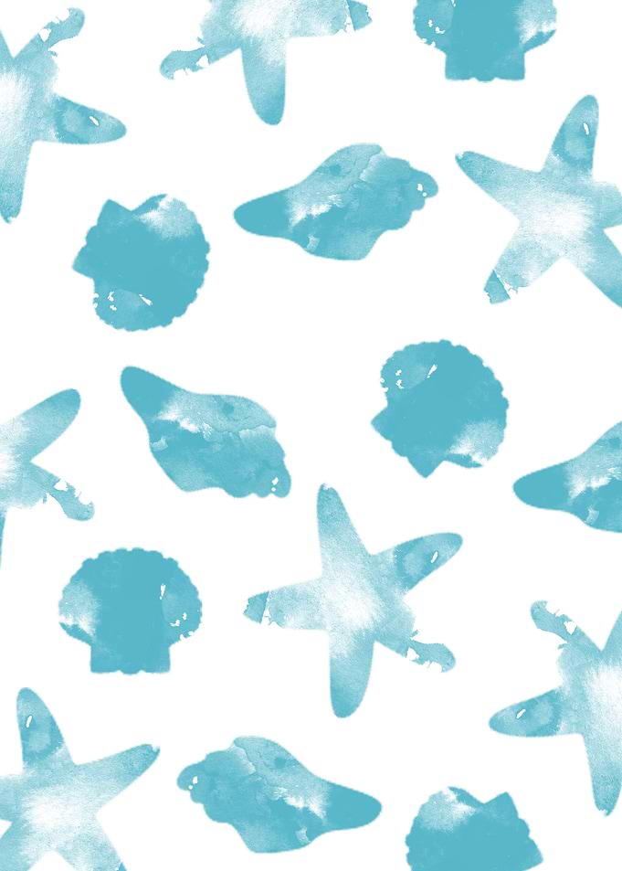 seashells and stars