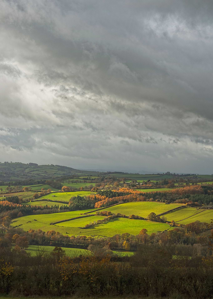 Devon - Vintage edited. From a series previously offere ...