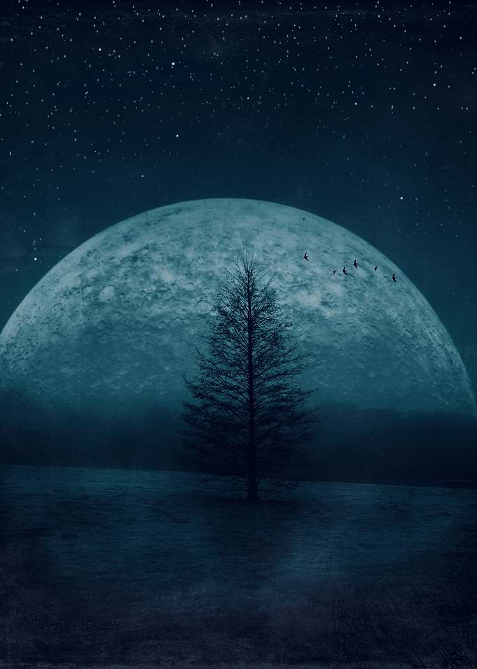 Twilight Moon