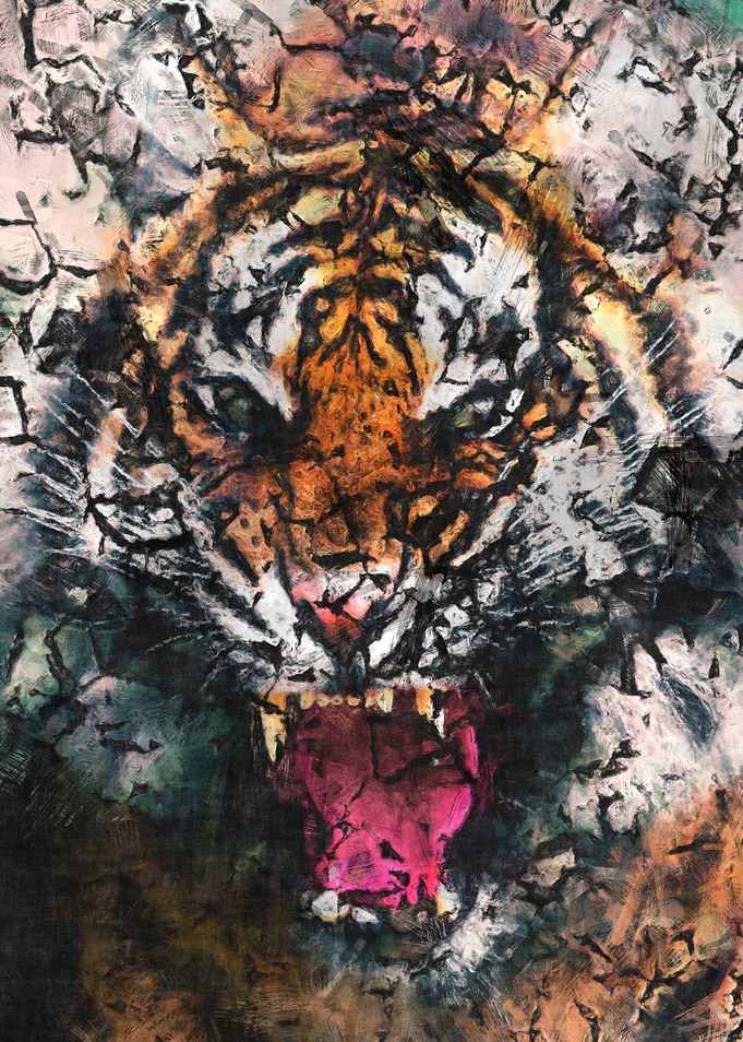 Tiger sketch