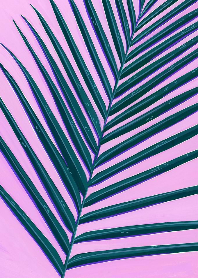 palm leaf