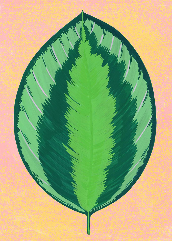 tropical leaf