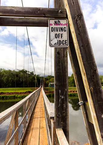 The Bridge
