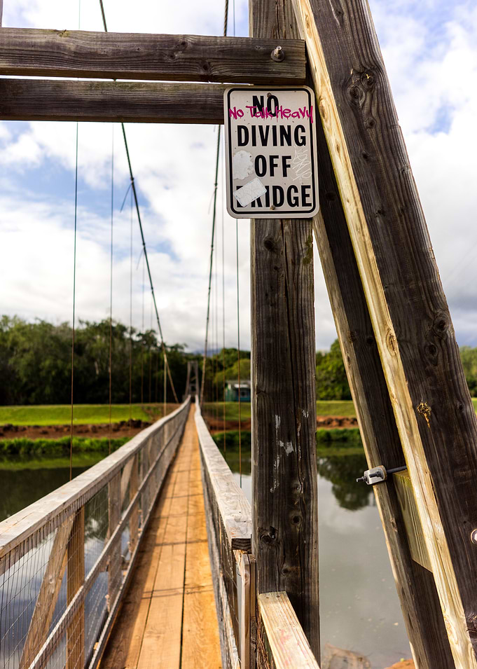 The Bridge