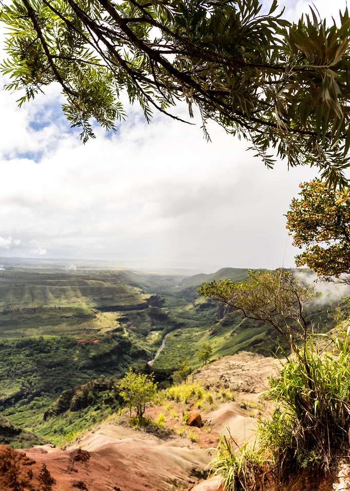 Waimea Canyon