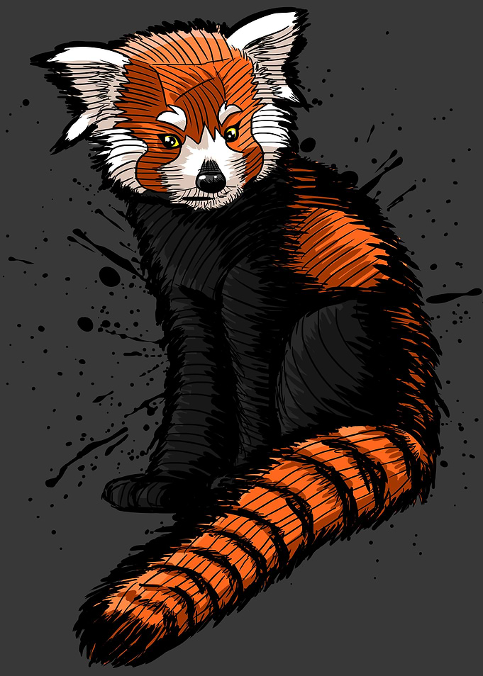 Sketch Red Panda