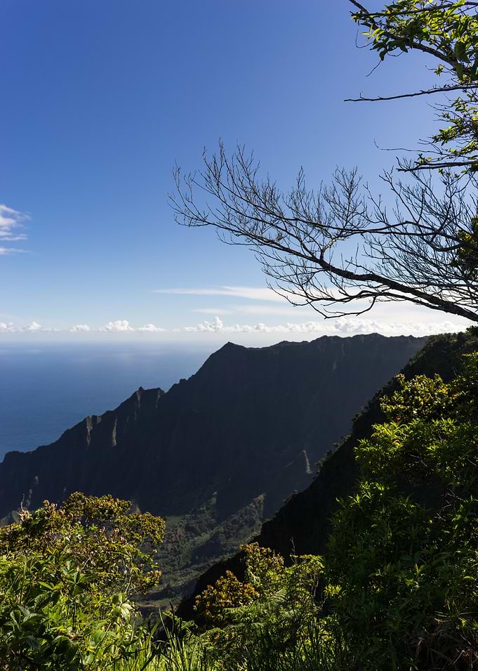 The Outlook