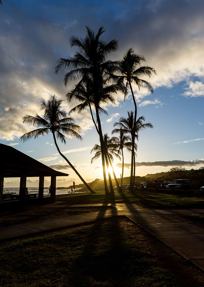 The Salt Pond Park