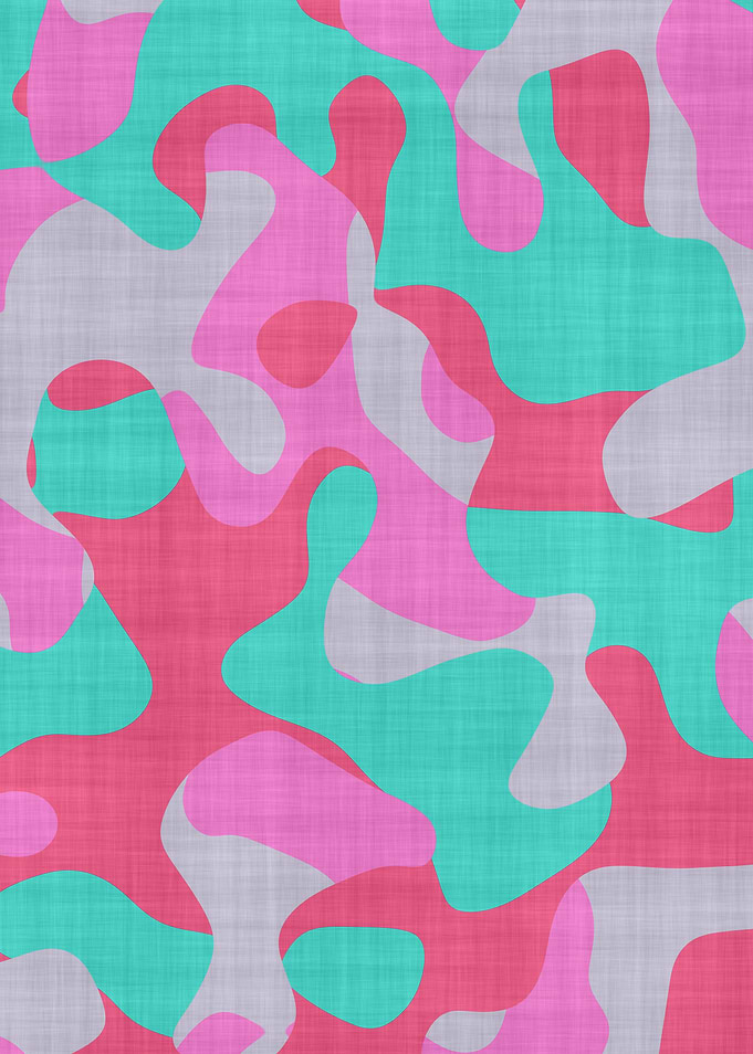 Camouflage 2017-N3