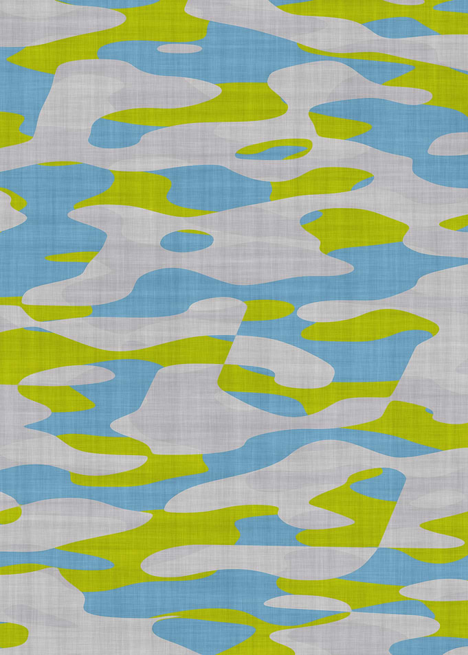 Camouflage 2017-N1