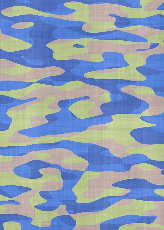 Camouflage 2017-N4