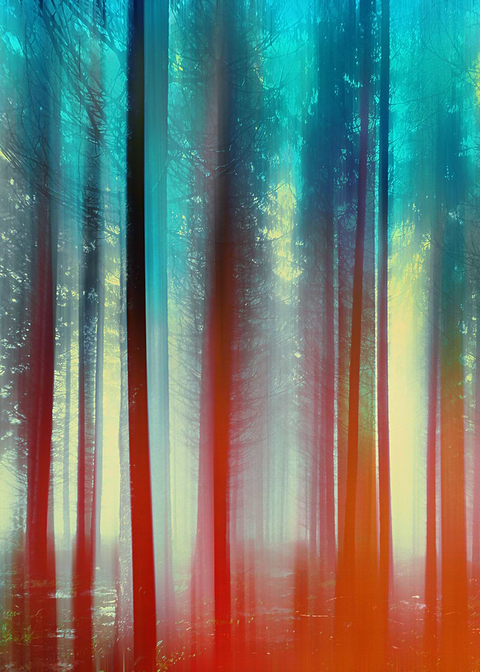 Abstract Forest