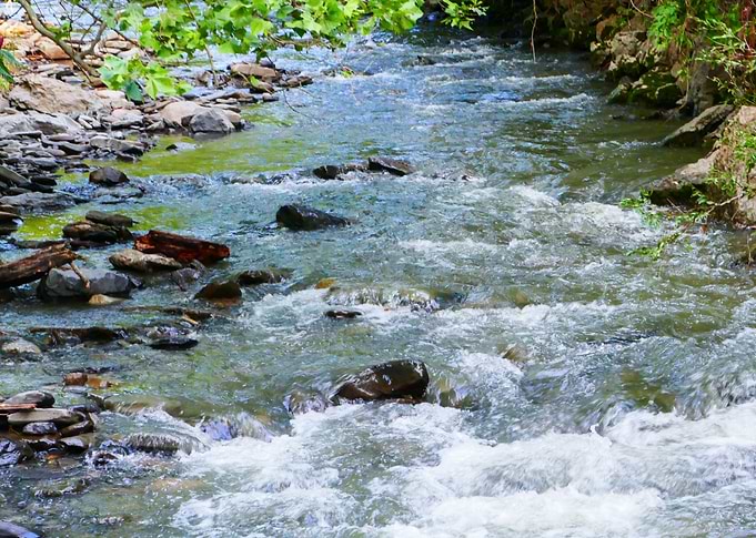 Rolling bubbling brook in Ithaca, New York.