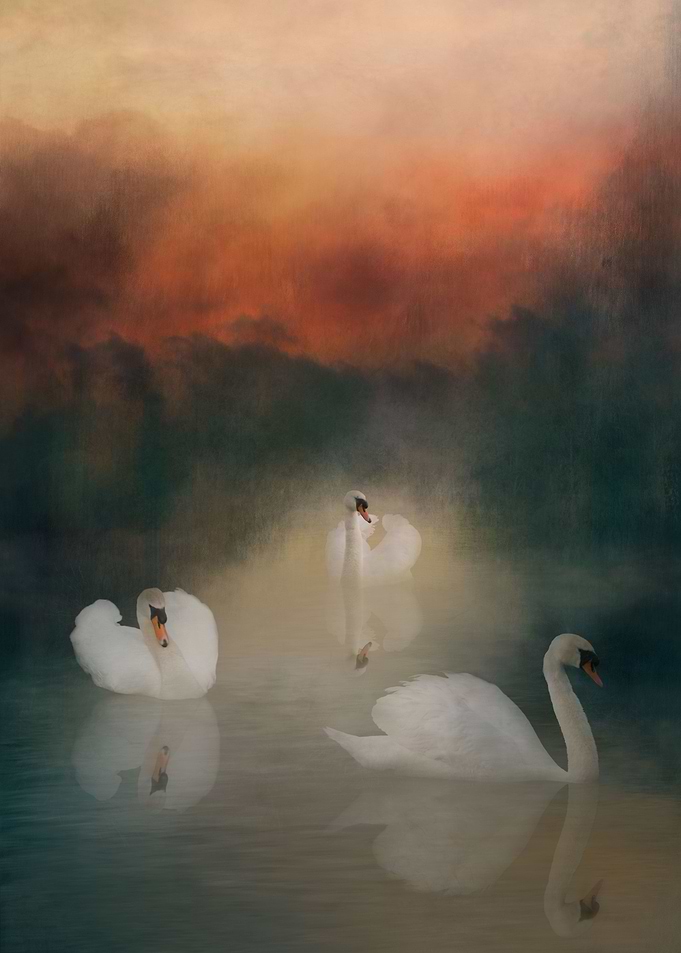 Swan Lake Sunset
