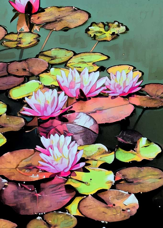 Lilypad art taken in Brooklyn, New York at the botanica ...