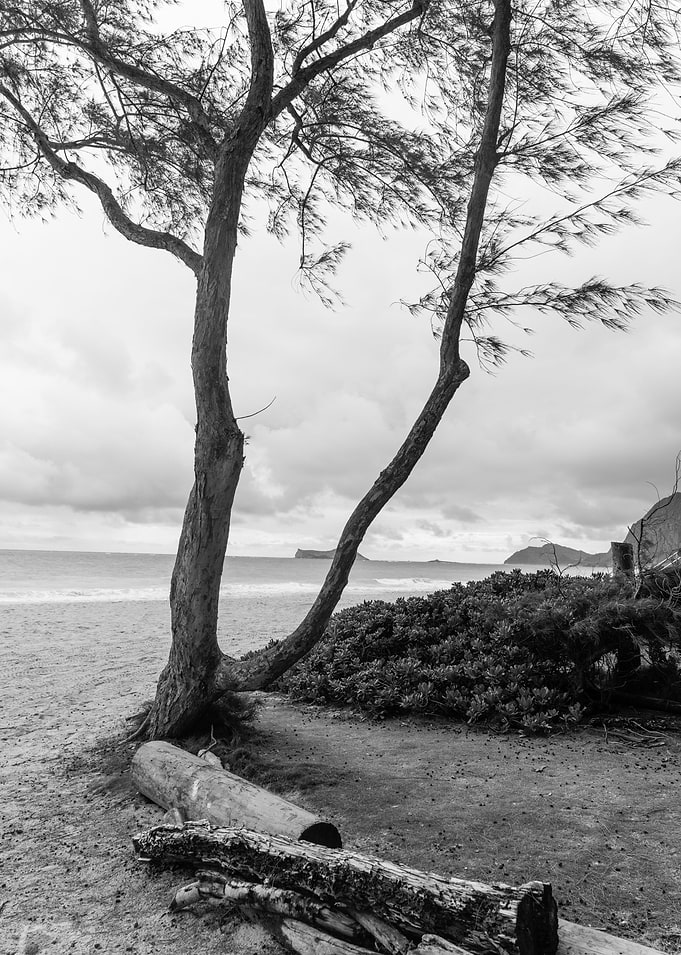 The Beach