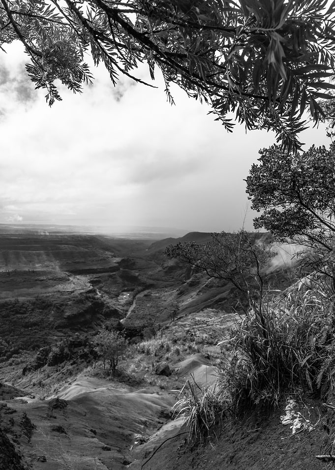 Waimea Canyon