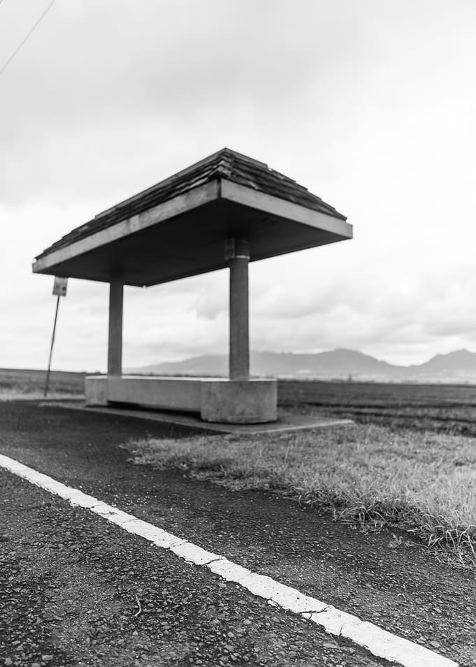 The Road Unknown