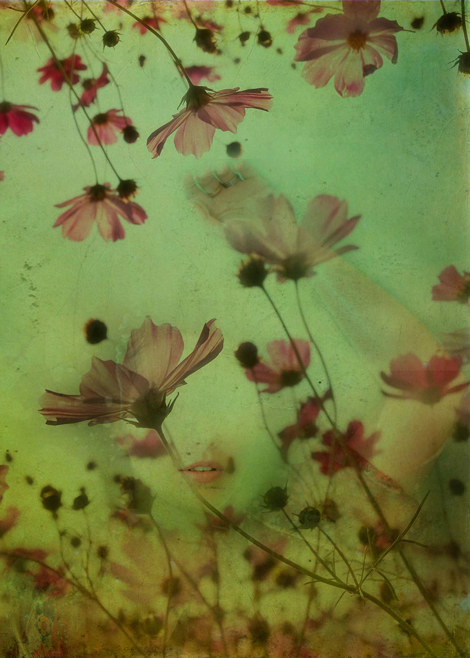 Artistic photograph 'My soul is an imaginary garden'