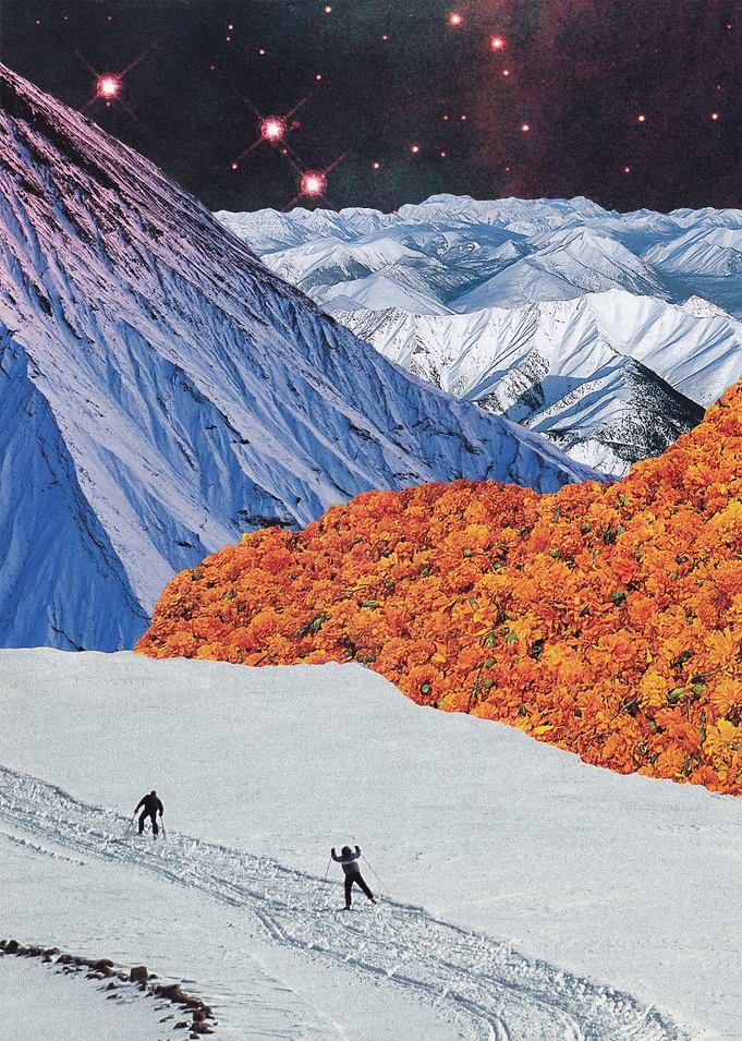 Spring is coming [collage]