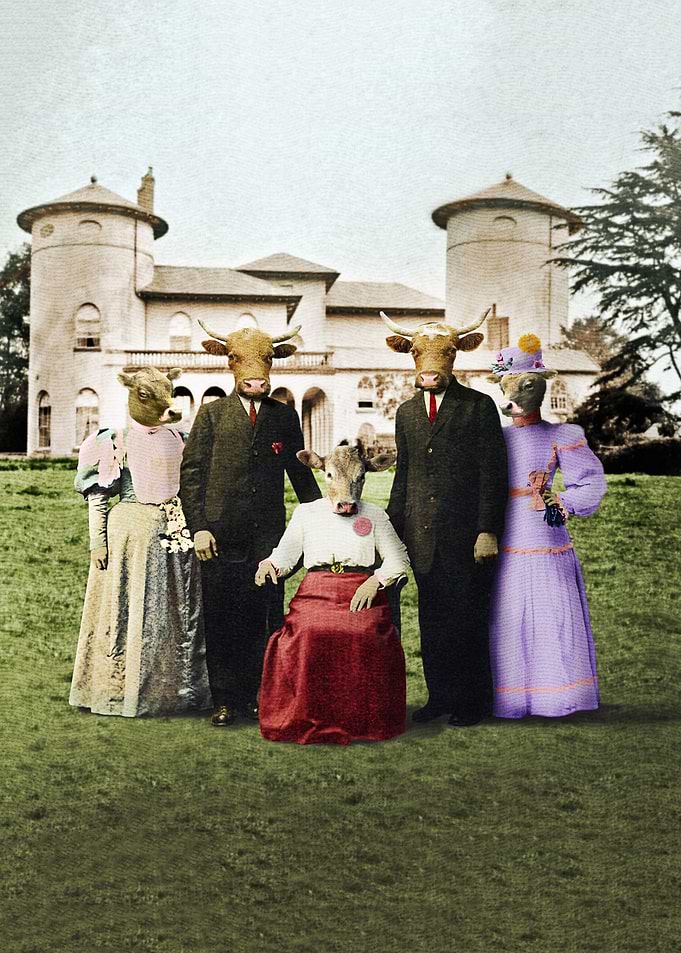 Cowtown Abbey
