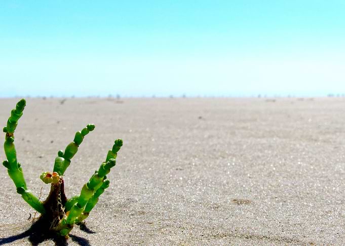 A calm sunny day at the north sea while ebb tide was on ...