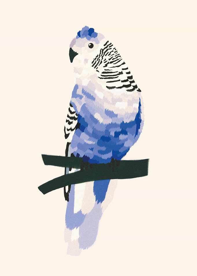 Blue bird