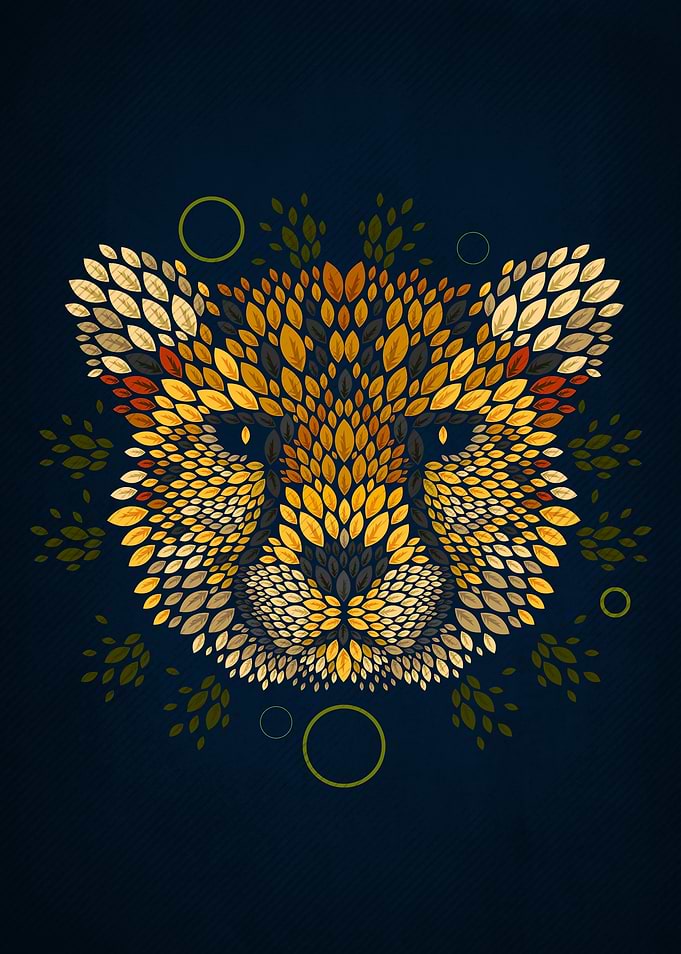 CHEETAH FACE