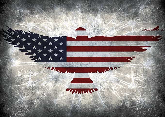 bald eagle