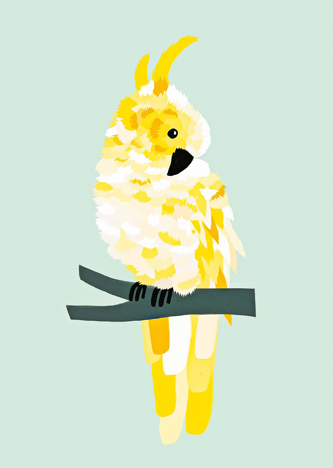 Yellow cockatoo