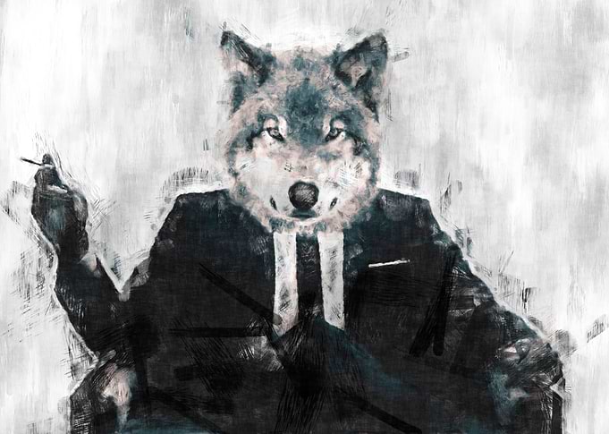 The wolf-intellectual sketch