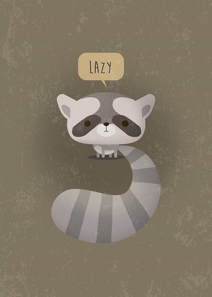 Lazy Raccoon