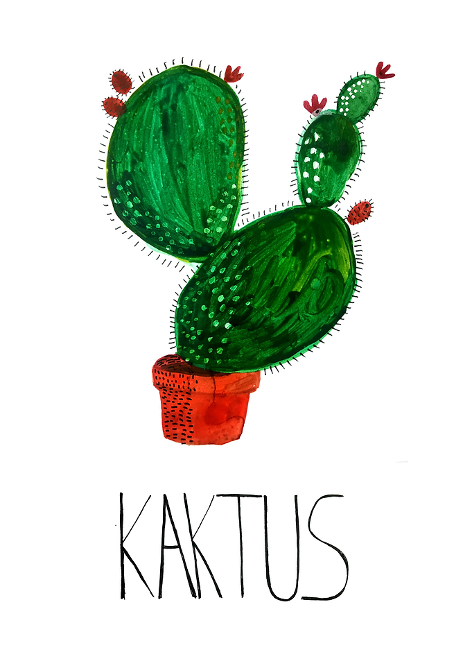 Plain Cactus