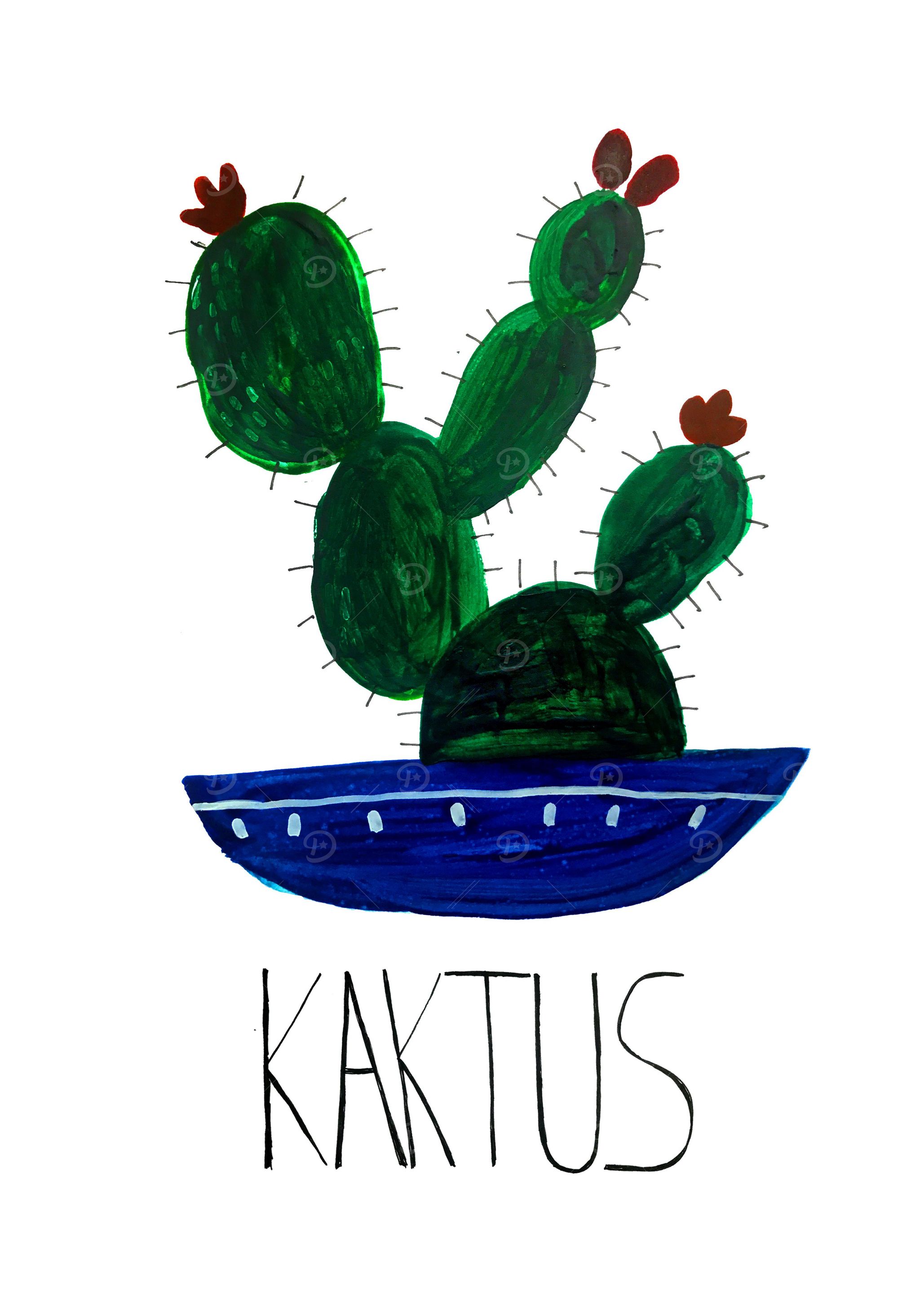 Plain Cactus