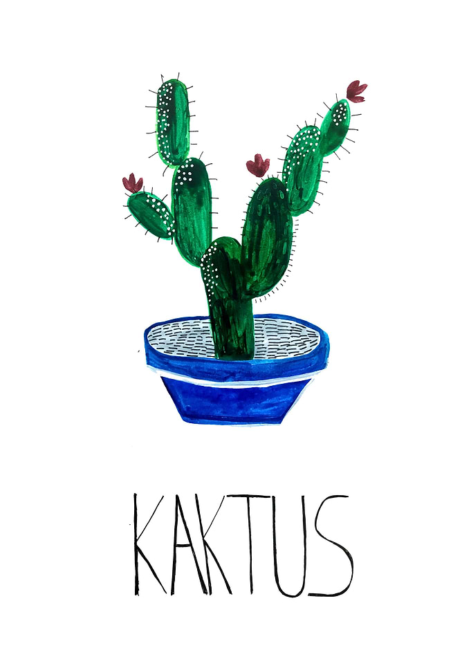 Plain Cactus