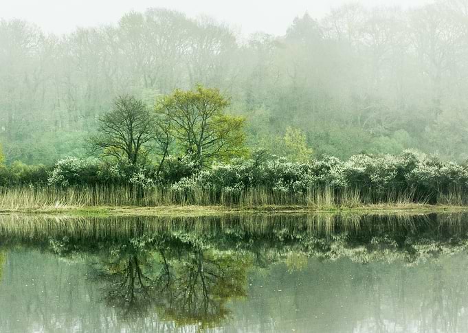 Quiet