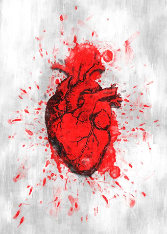 Human heart sketch