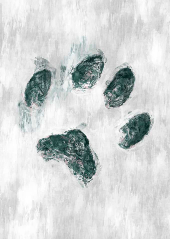 Cat's foot sketch
